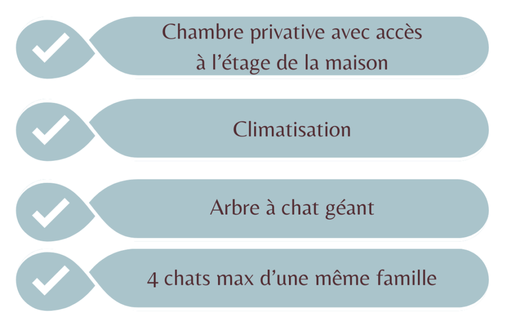 Tableau service compris Hebergement Pension pour chats Chez Kisbee Saint-Pierre 974