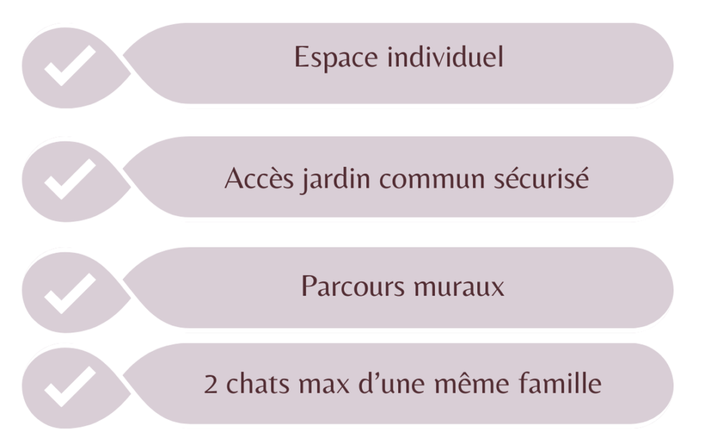 Tableau service compris Hebergement Pension pour chats Chez Kisbee Saint-Pierre 974