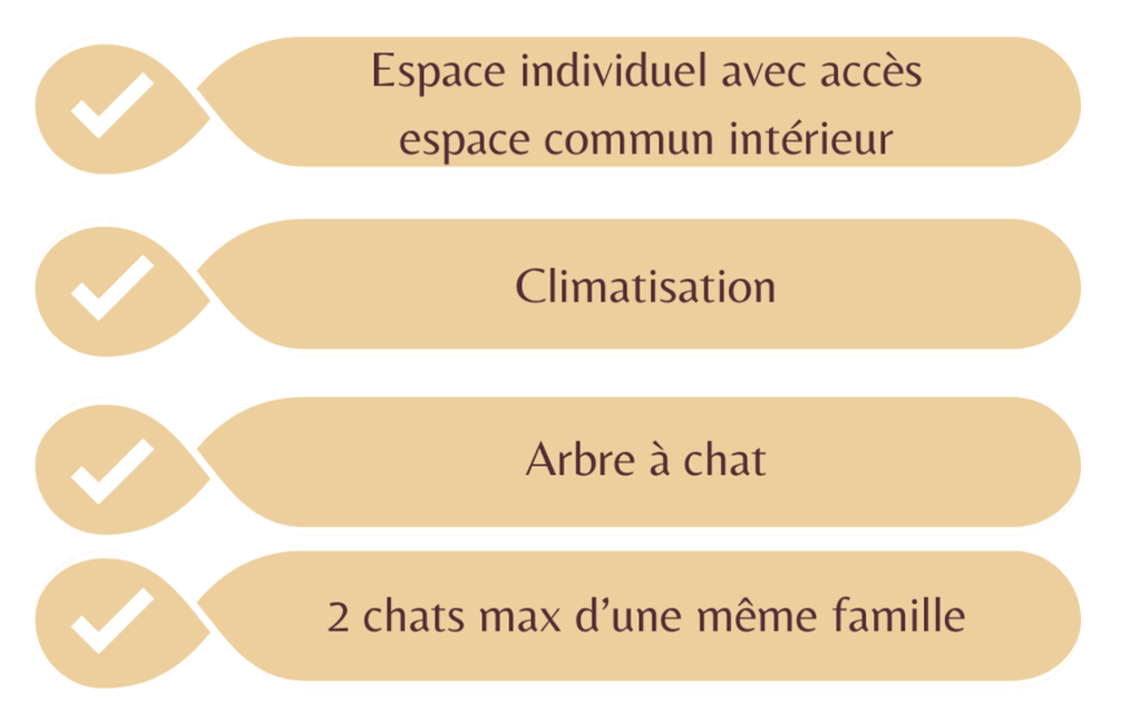 Tableau service compris Hebergement Pension pour chats Chez Kisbee Saint-Pierre 974