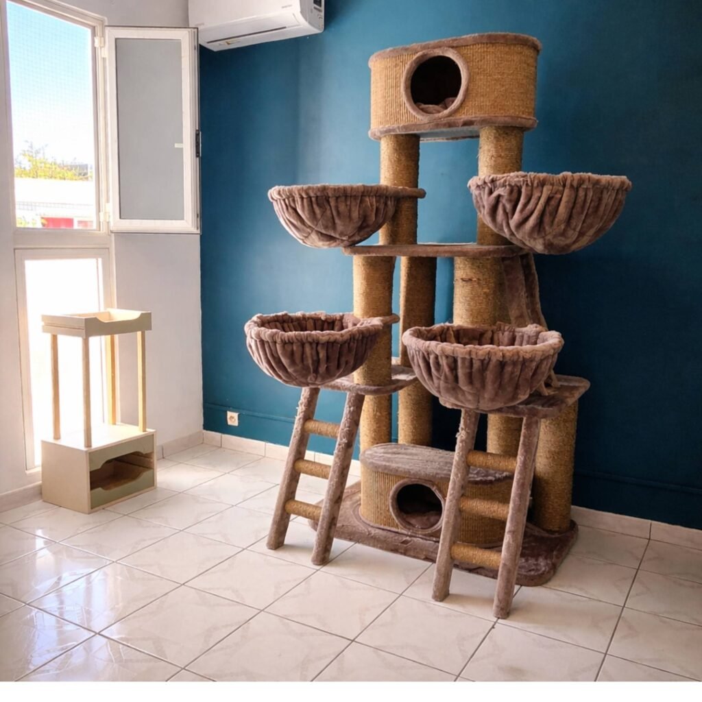 Photo Chambre Confort pension pour chats Chez Kisbee 974