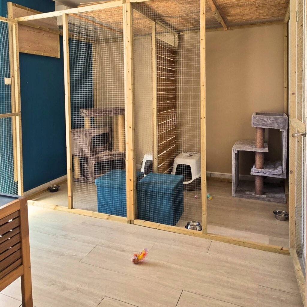 Photo Chambre standard intérieur Pension pour chats Chez Kisbee 974