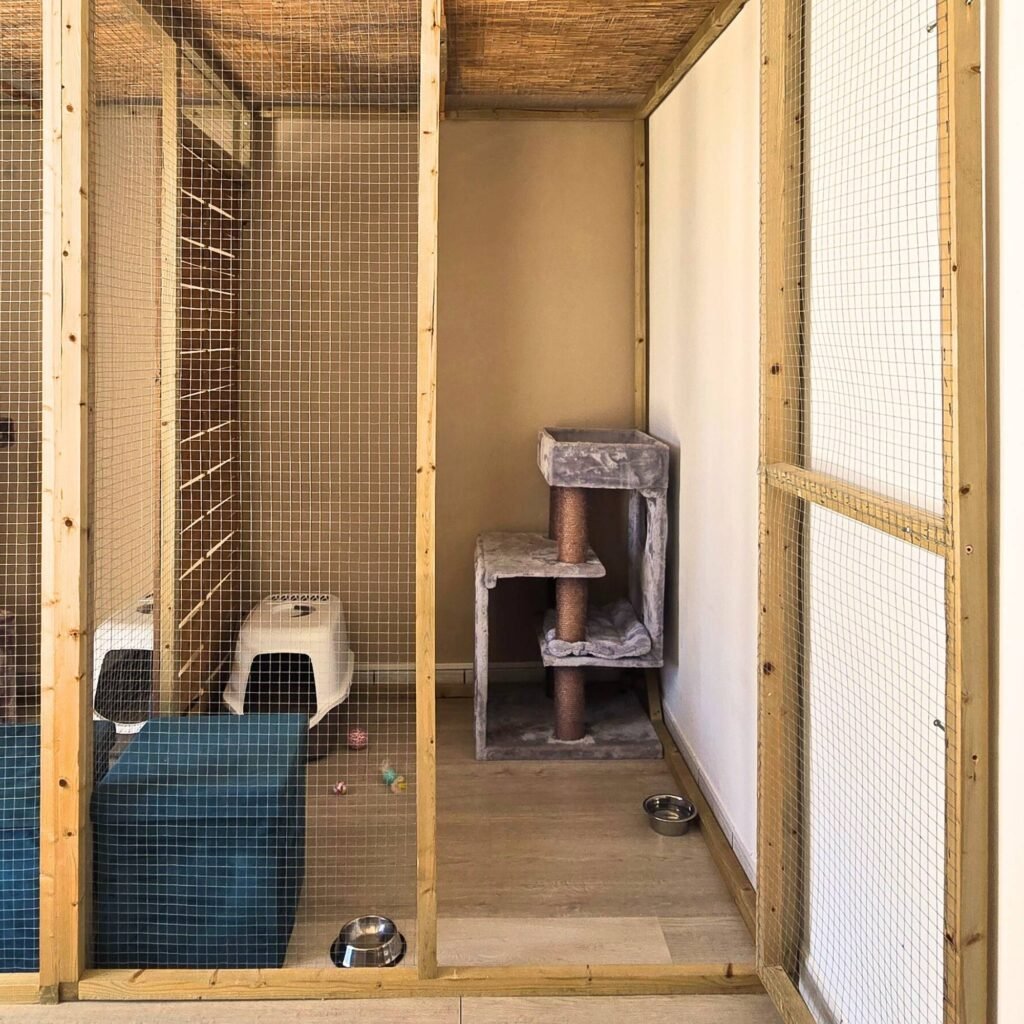 Photo Chambre standard intérieur Pension pour chats Chez Kisbee 974