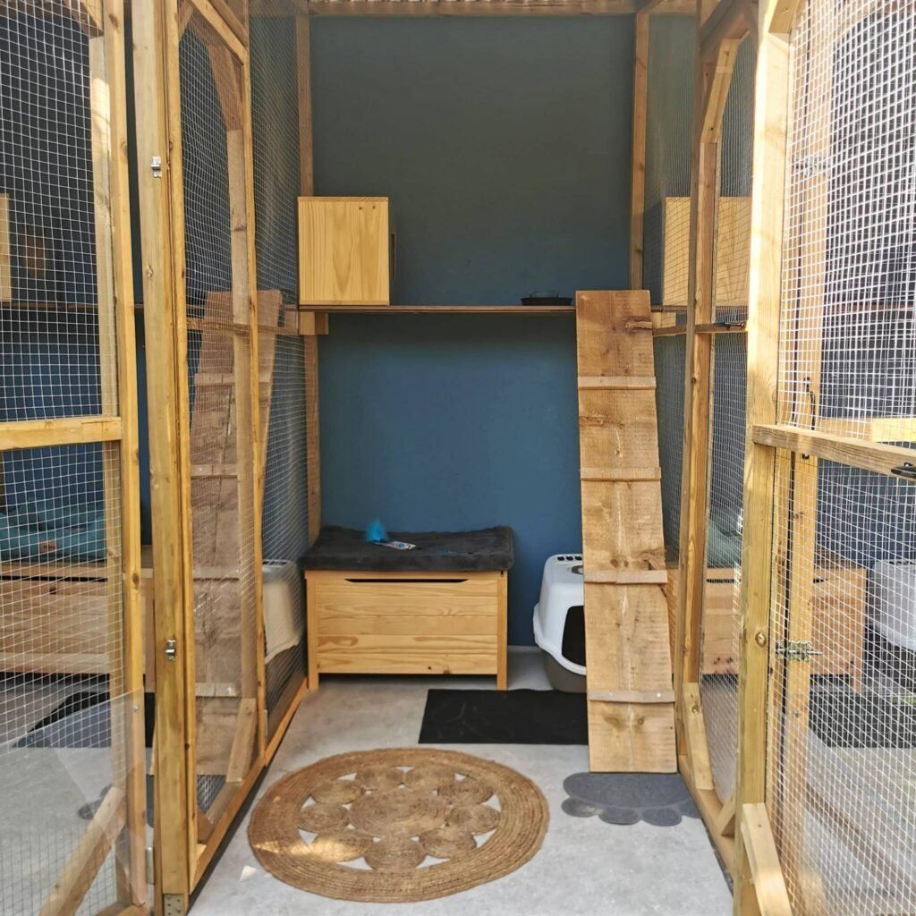 Photo Chambre standard accès jardin vu proche Pension pour chats Chez Kisbee 974