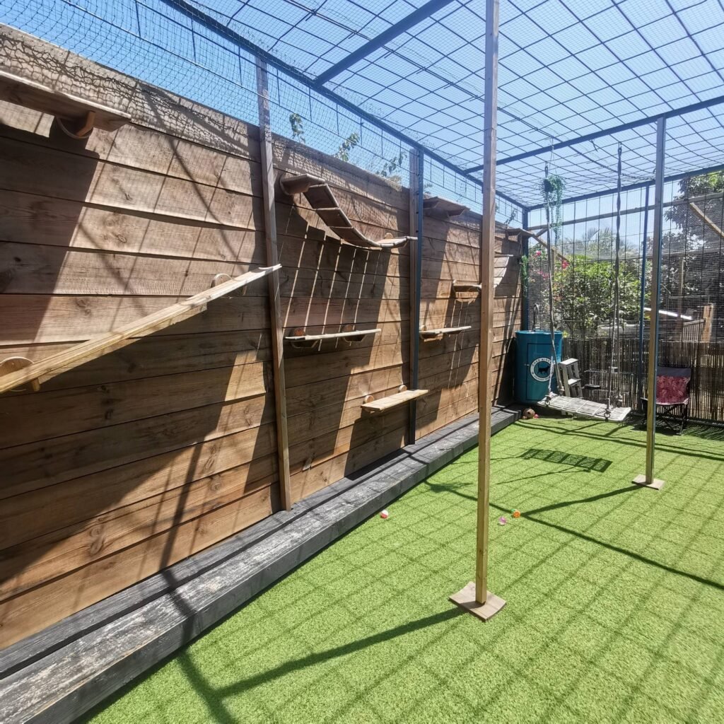 Photo Chambre standard accès jardin parcours mural Pension pour chats Chez Kisbee 974